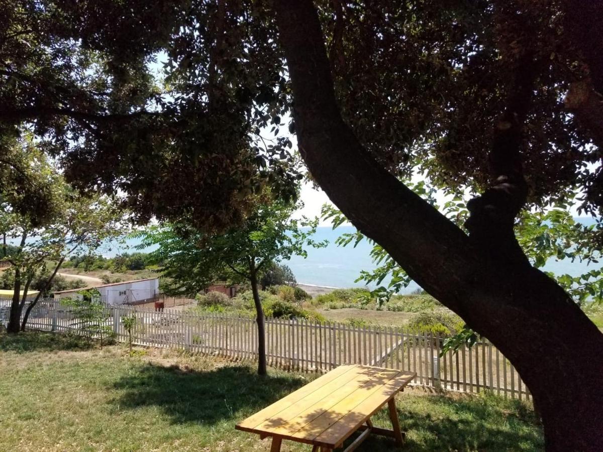 Appartamento Oasis Residency *